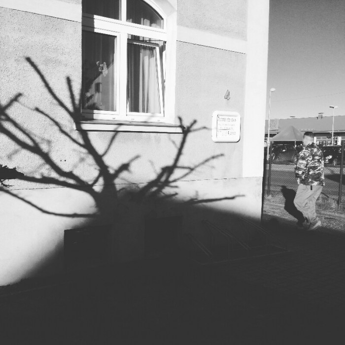 Tree Shadow - Angermünde, Brandenburg