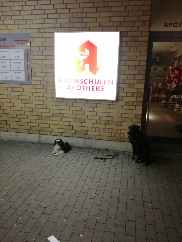 Two dog waiting outside a drugstore in Baumschulenweg, Berlin