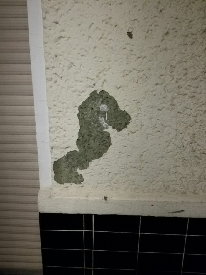Broken wall looks like a sea horse.